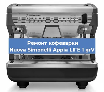 Ремонт капучинатора на кофемашине Nuova Simonelli Appia LIFE 1 grV в Ижевске